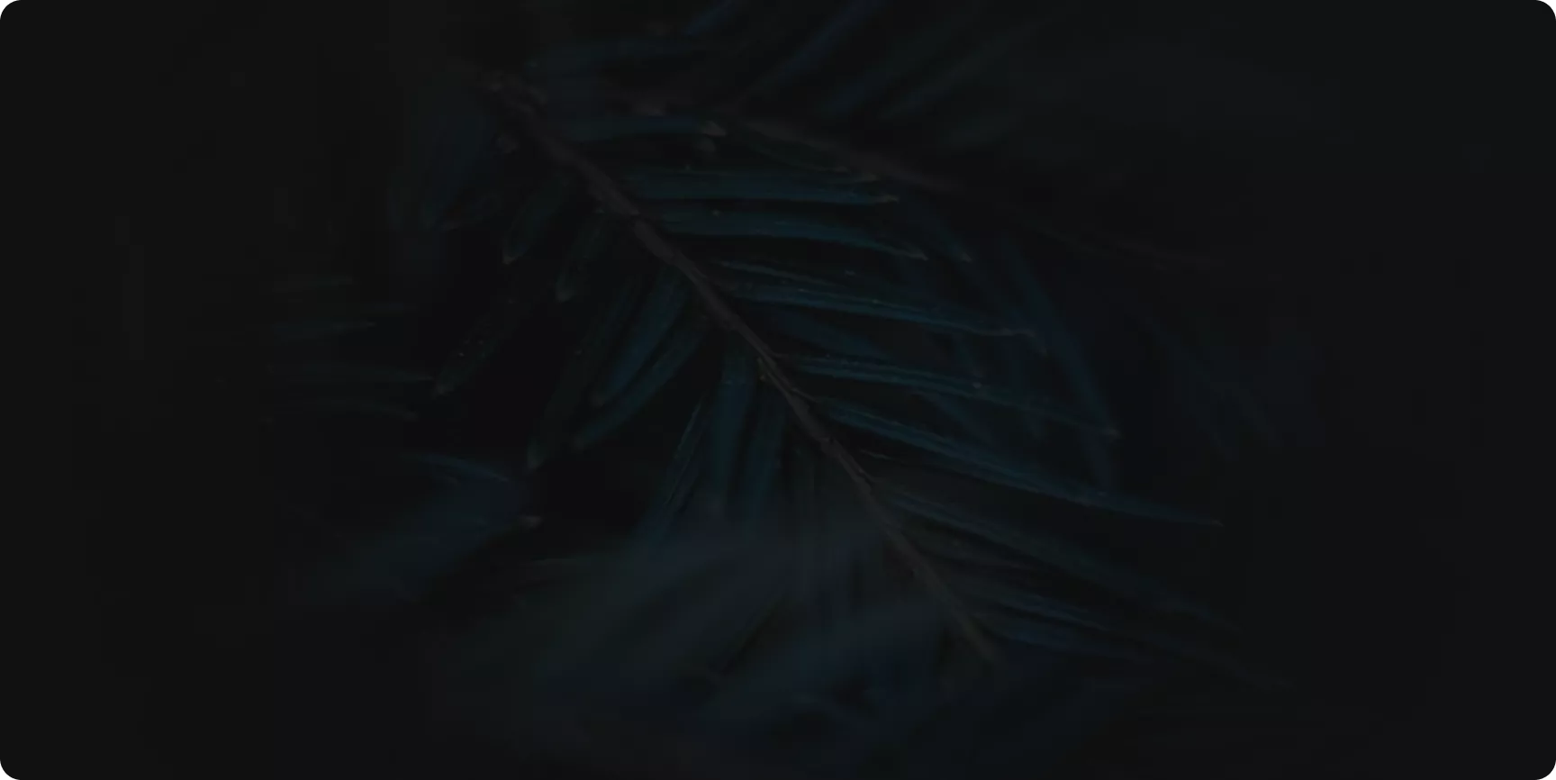 The Cyan Door Case Study