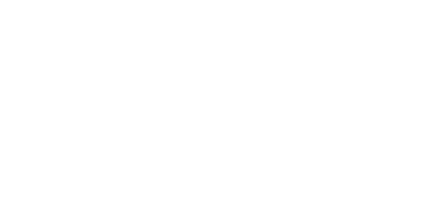 Payroll Standard