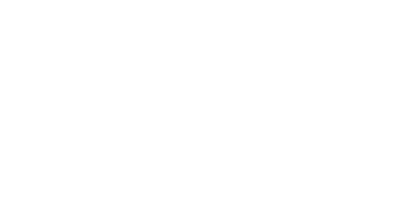 Summer Discovery