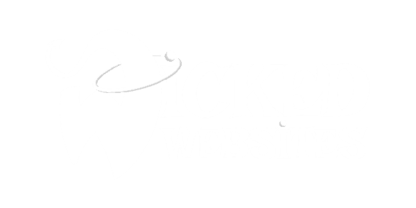 Rohit Maharjan company logo